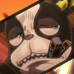 Meet your Posher, 2uo